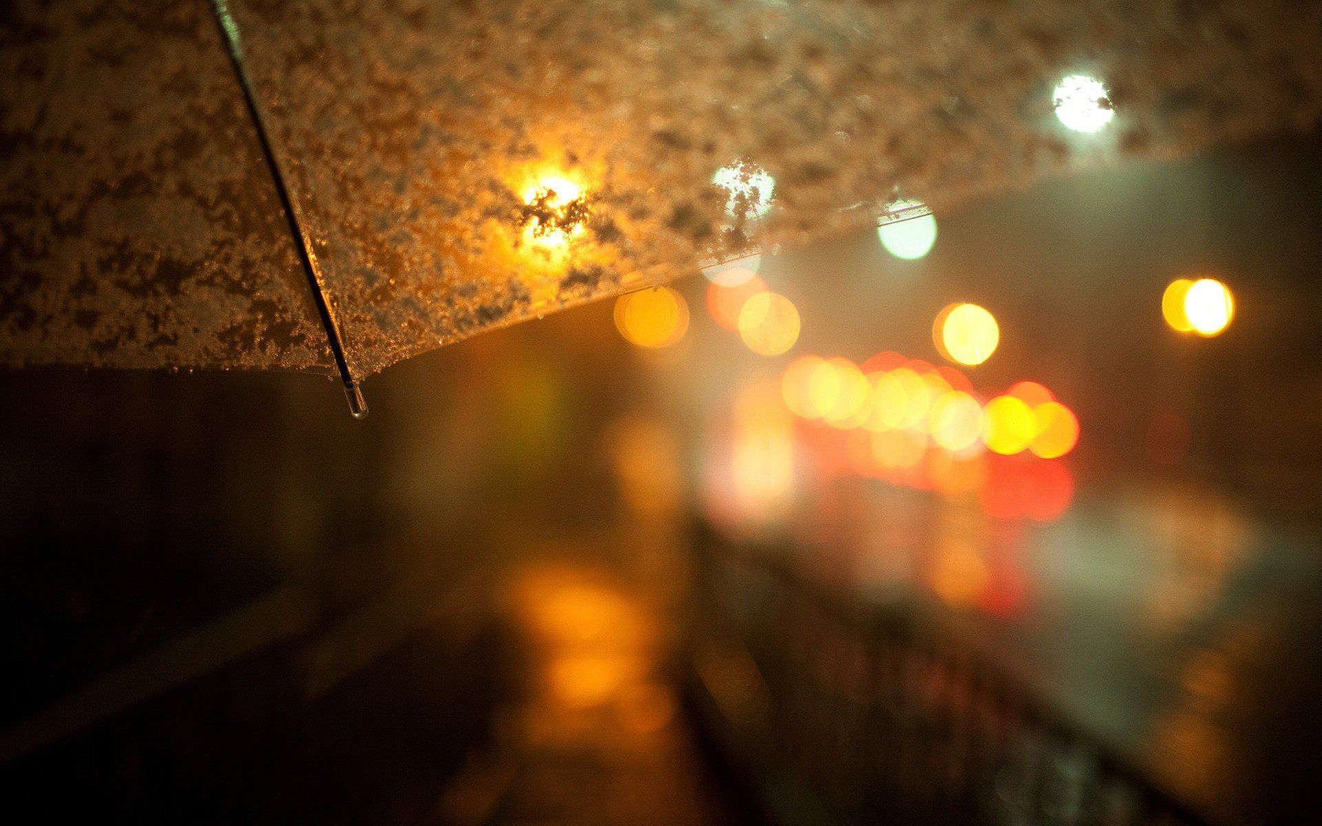 depth of field, Umbrella, Bokeh HD Wallpaper / Desktop and Mobile