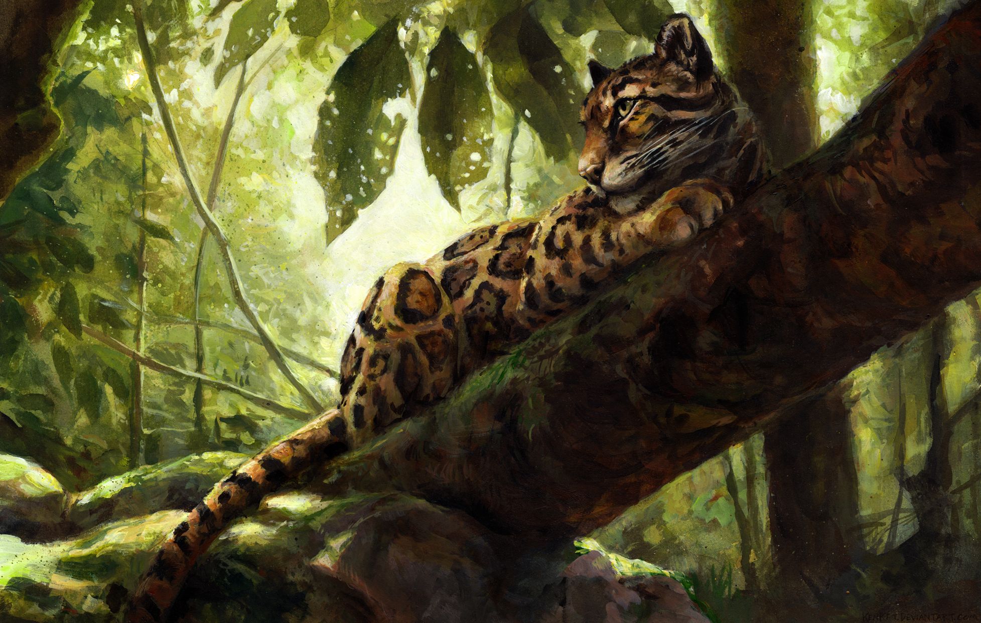 Leopard Jungle Wallpapers - Wallpaper Cave