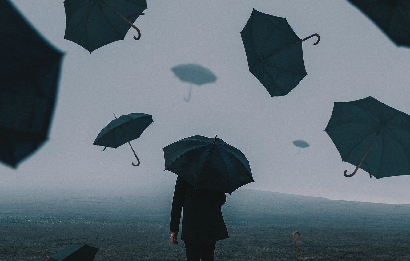 Wallpaper field, people, umbrellas, Bird Man image for desktop