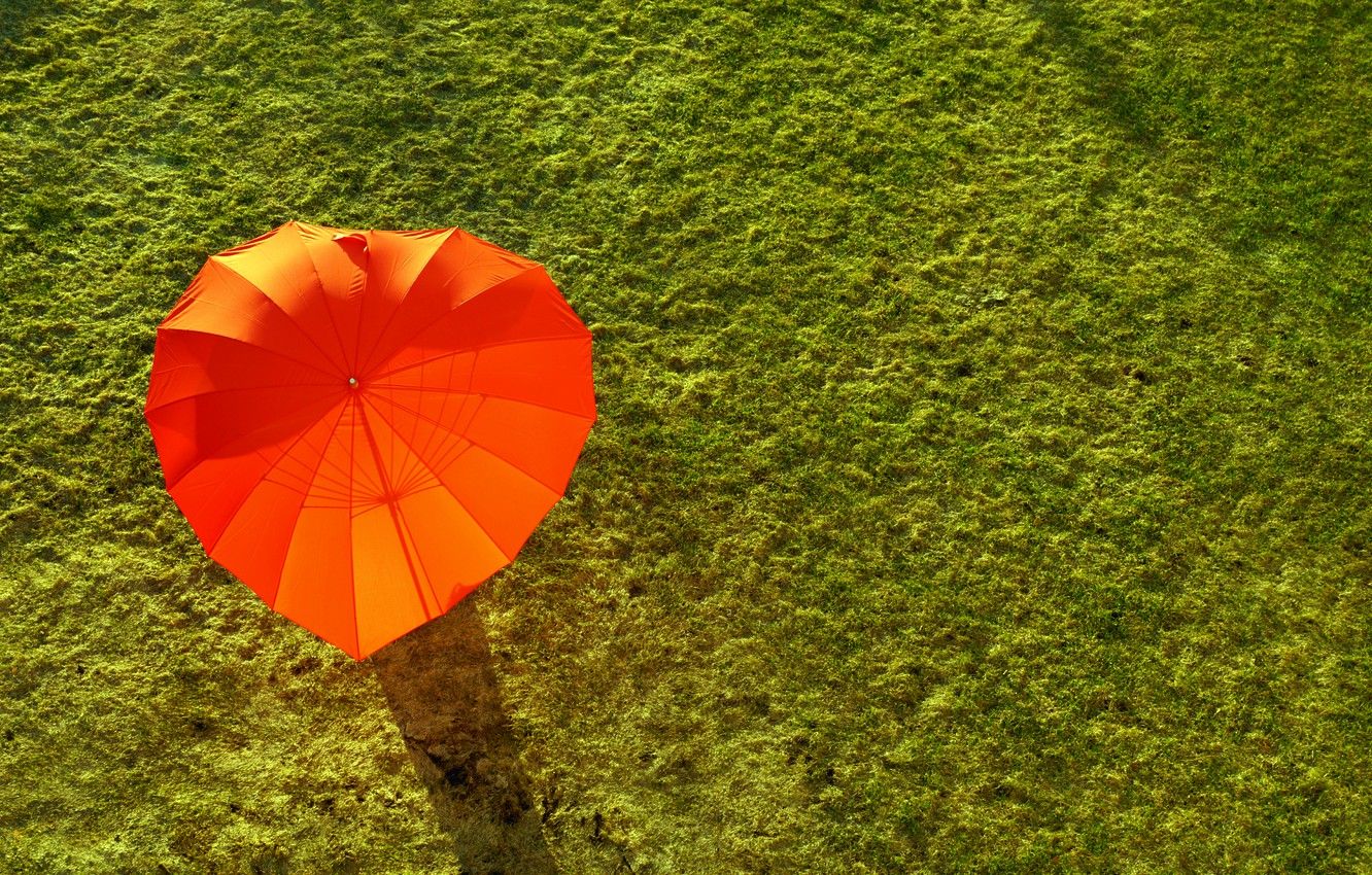 Wallpaper green, red, grass, holidays, field, umbrella, Summer