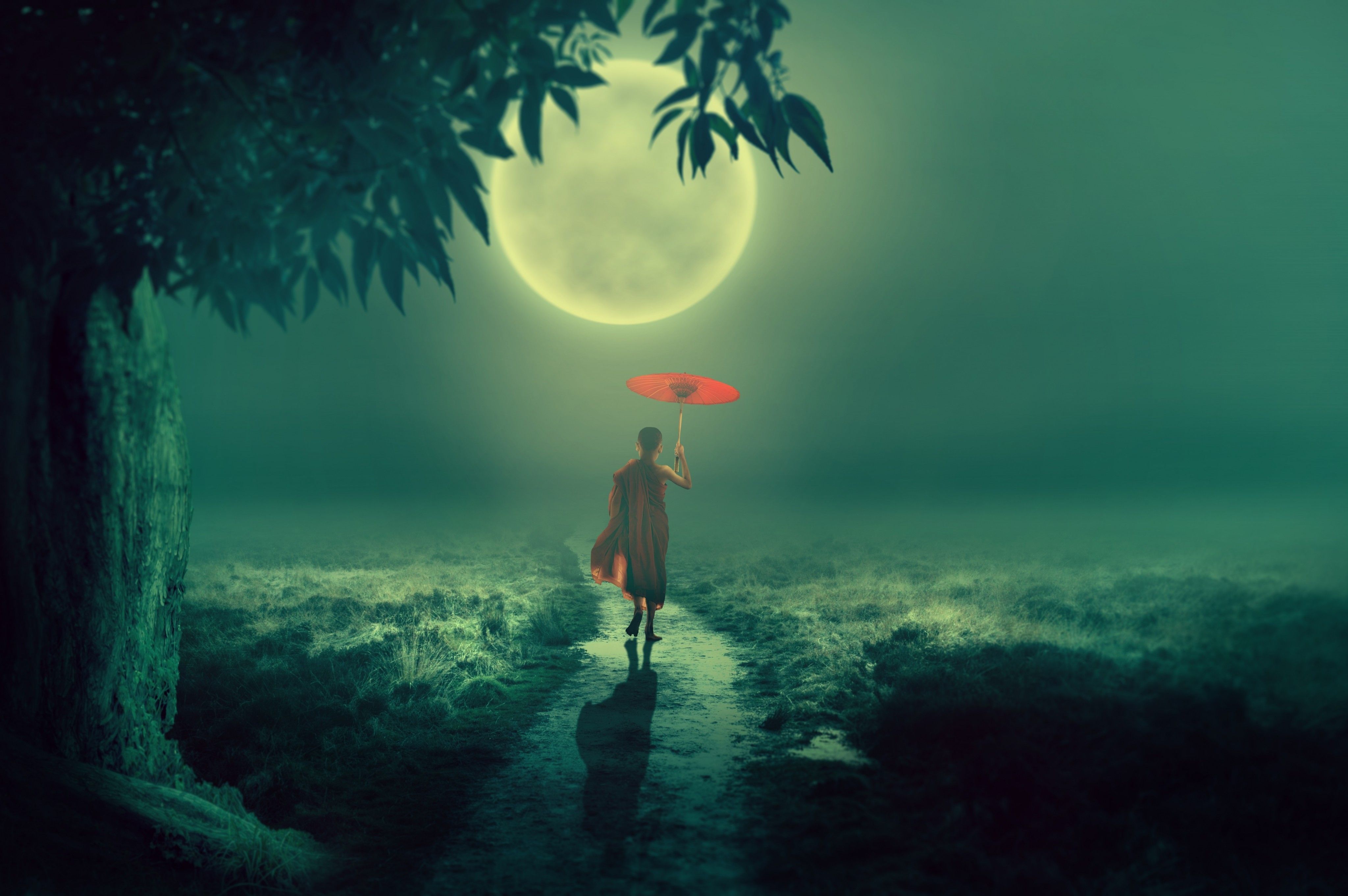 Download 4096x2723 Moonlight, Monk, Field, Umbrella, Walking, Path