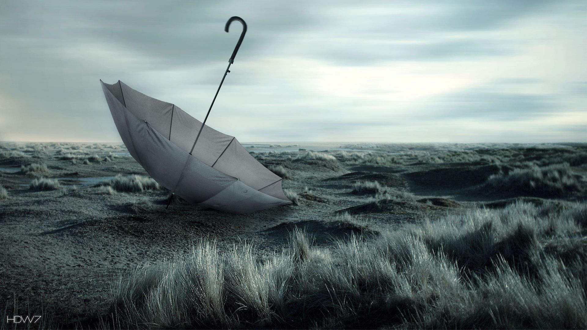 melancholic umbrella in the field wallpaper. HD wallpaper gallery