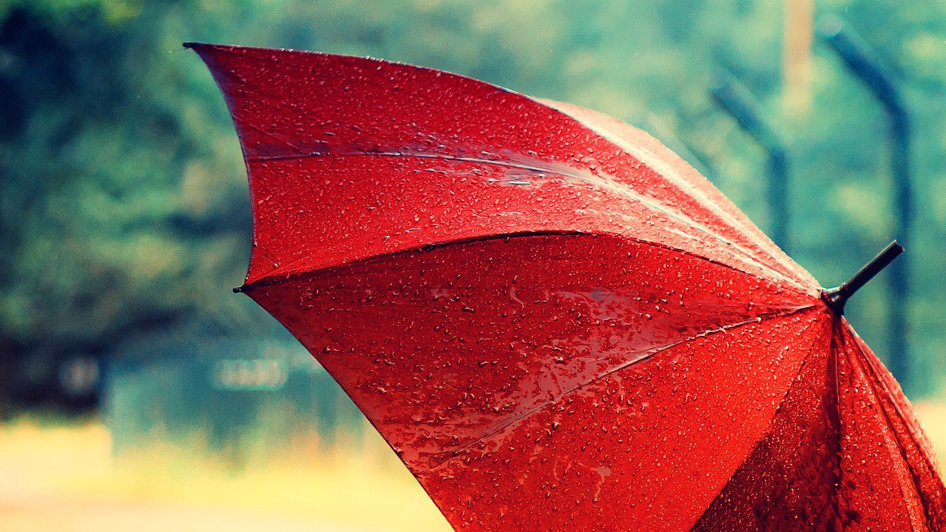 Umbrella Wallpaper. Mint Umbrella