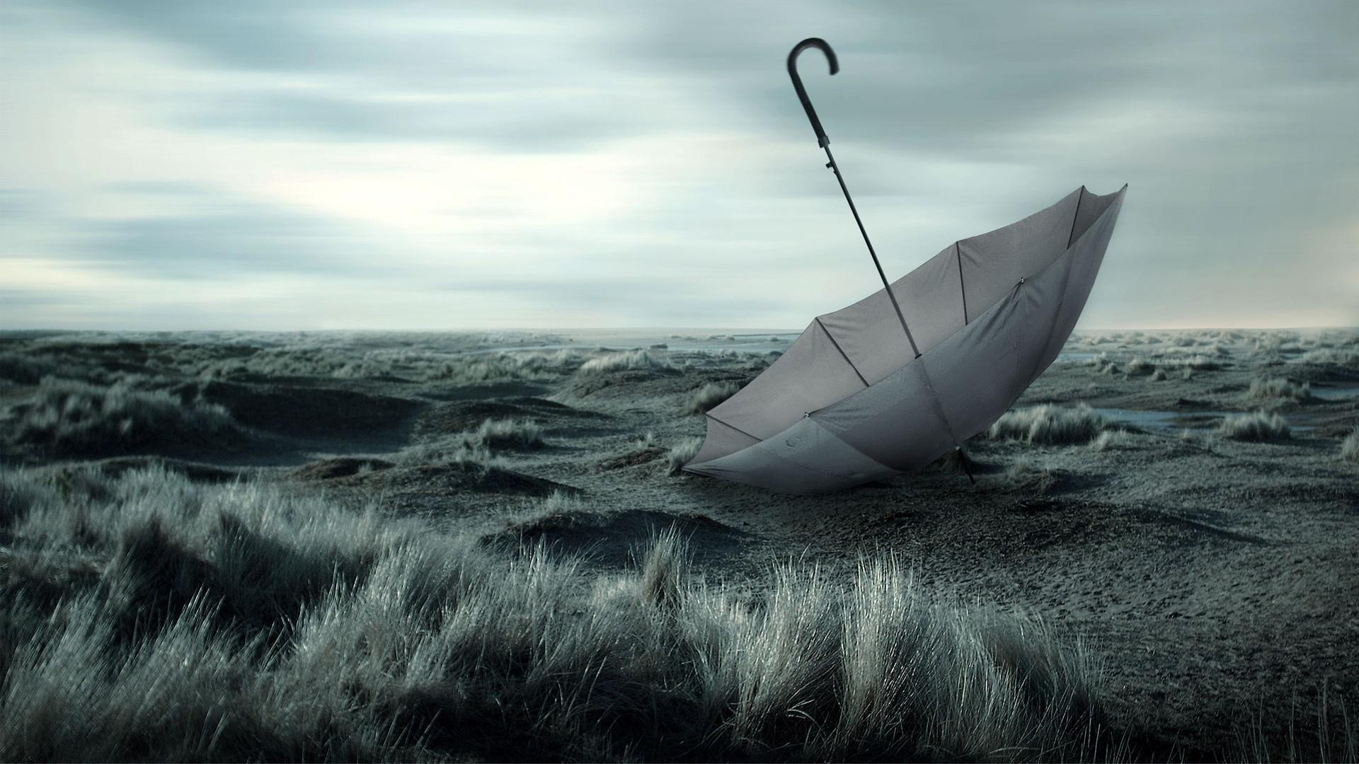 Download 1920x1080 Lost umbrella on the field wallpaper