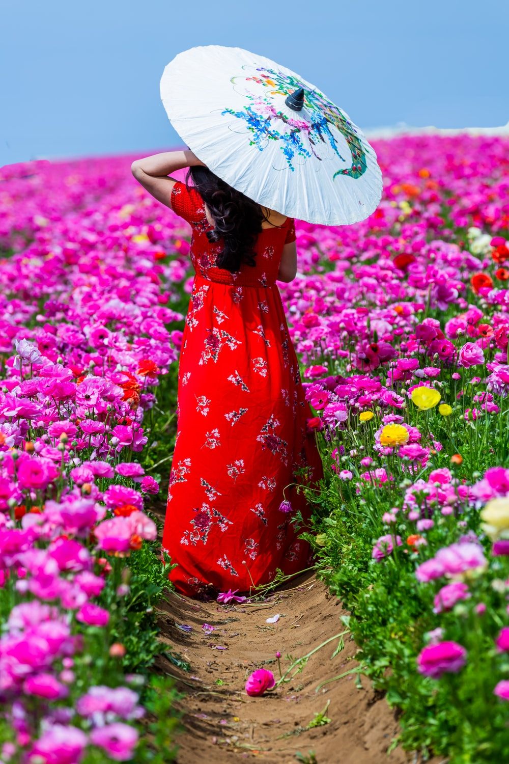 woman walking along aisle of flower field while using oil paper