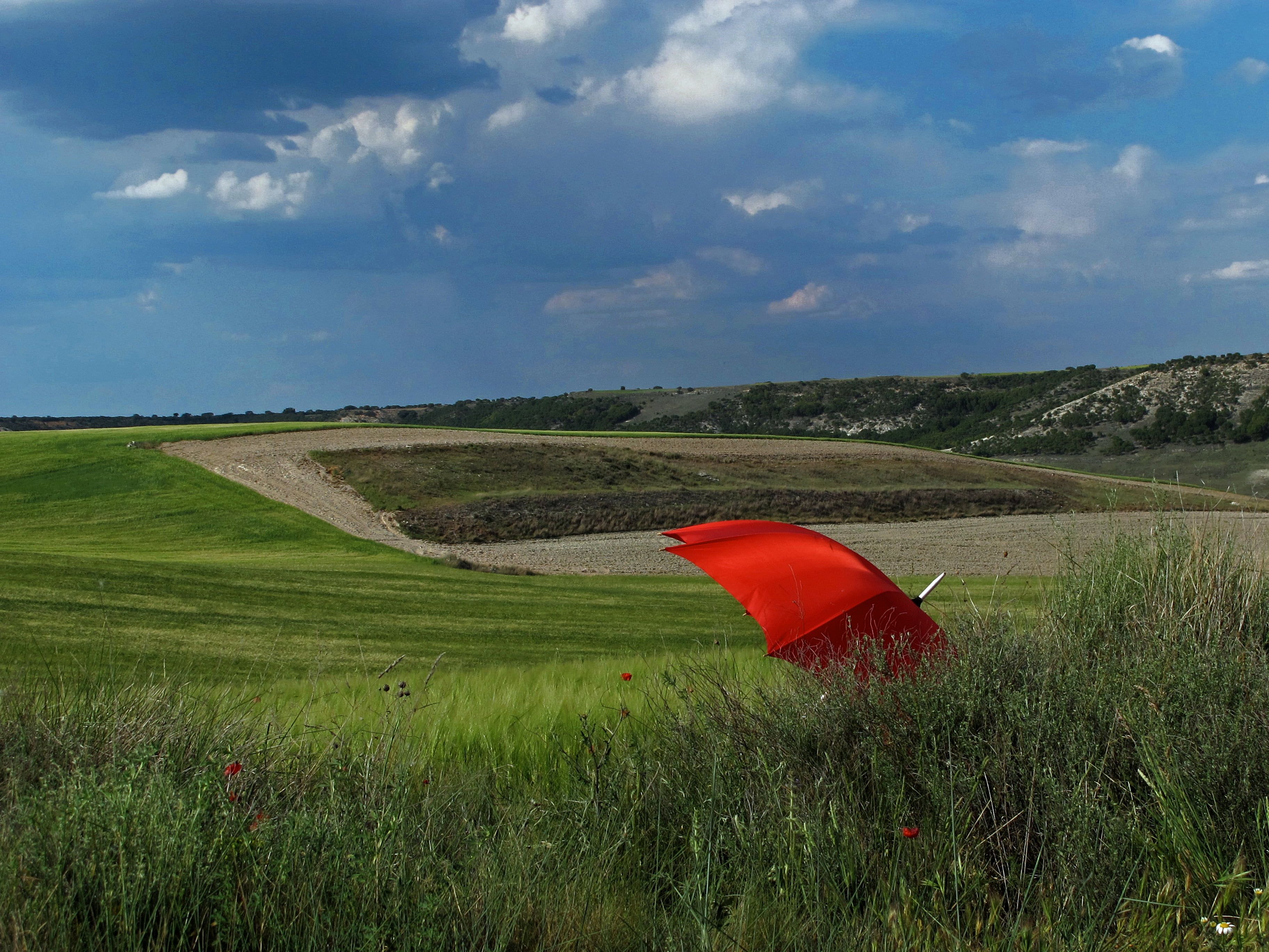 Landscape photography of red umbrella on green grass field HD