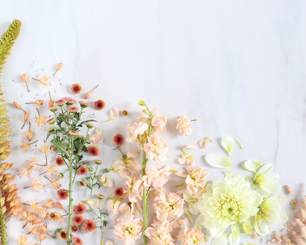 Free download DIGITAL BLOOMS SEPTEMBER 2016 Digital Wallpaper Macbook [5184x3456] for your Desktop, Mobile & Tablet. Explore Spring Flowers Computer Desktop Wallpaper. Free Spring Flower Wallpaper