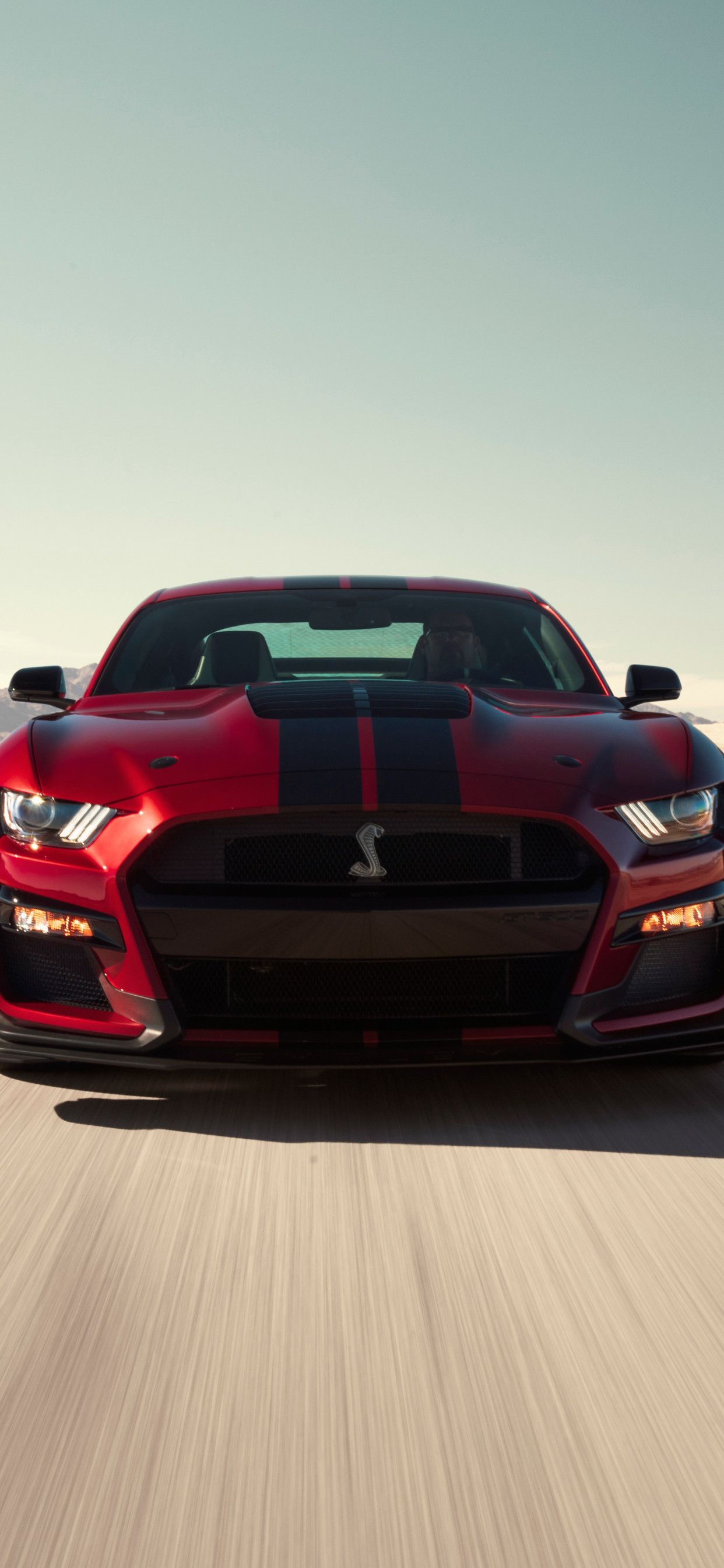 1242x2688 2020 Ford Mustang Shelby GT500 8k Iphone XS MAX HD 4k