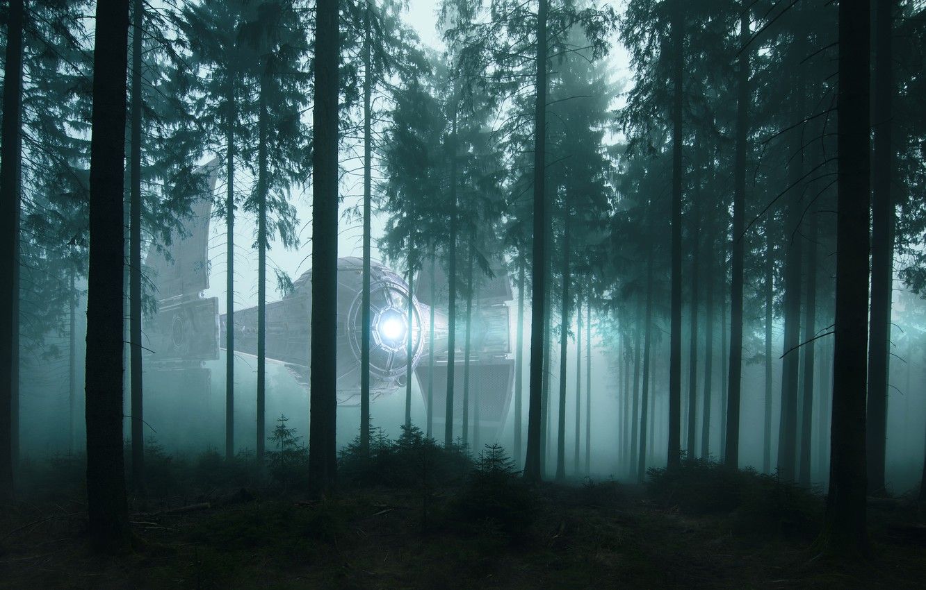 Wallpaper forest, light, trees, night, fog, fiction, ship, UFO
