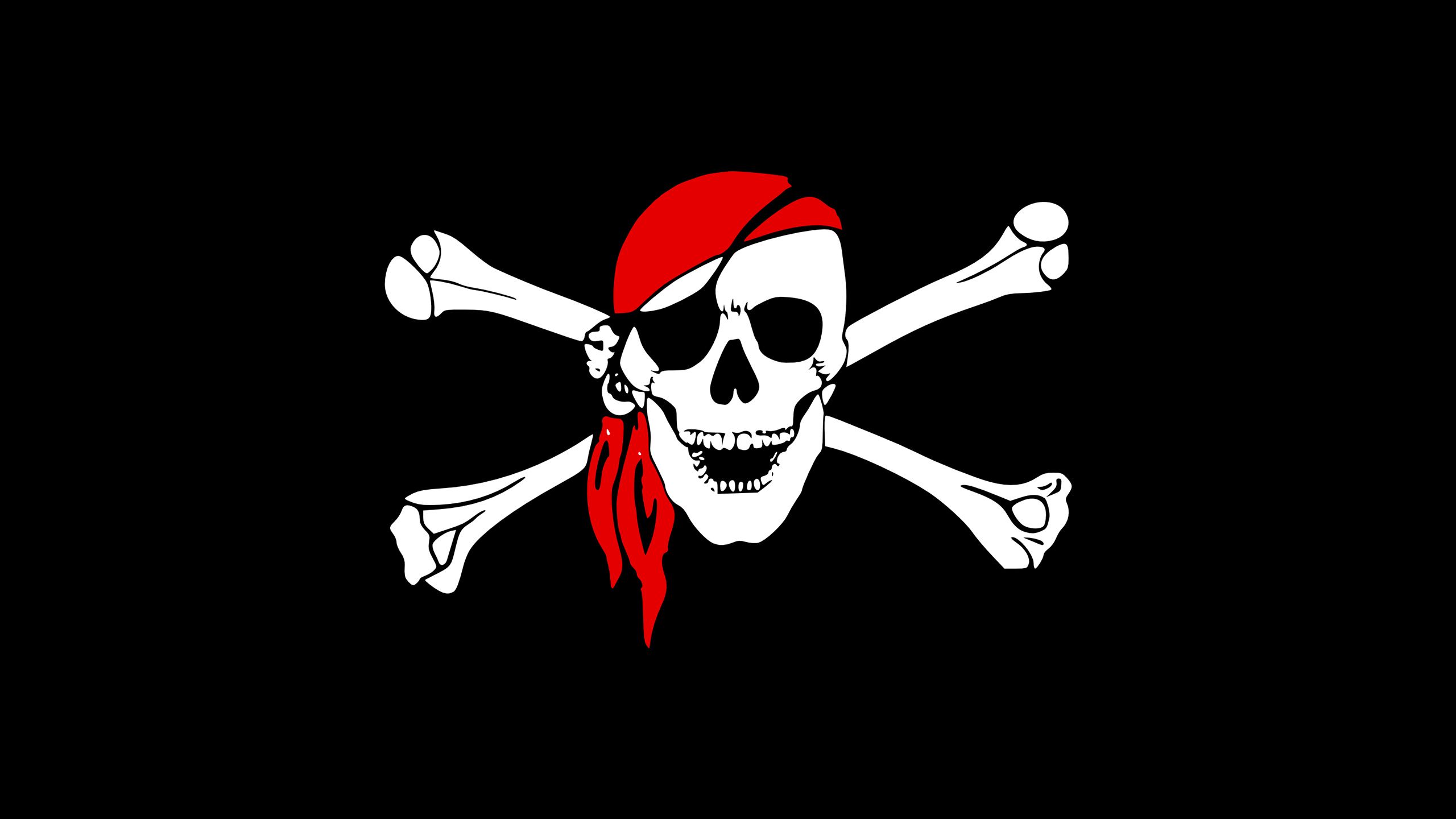 Girl and Pirate Flag Wallpaper Free Girl and Pirate Flag