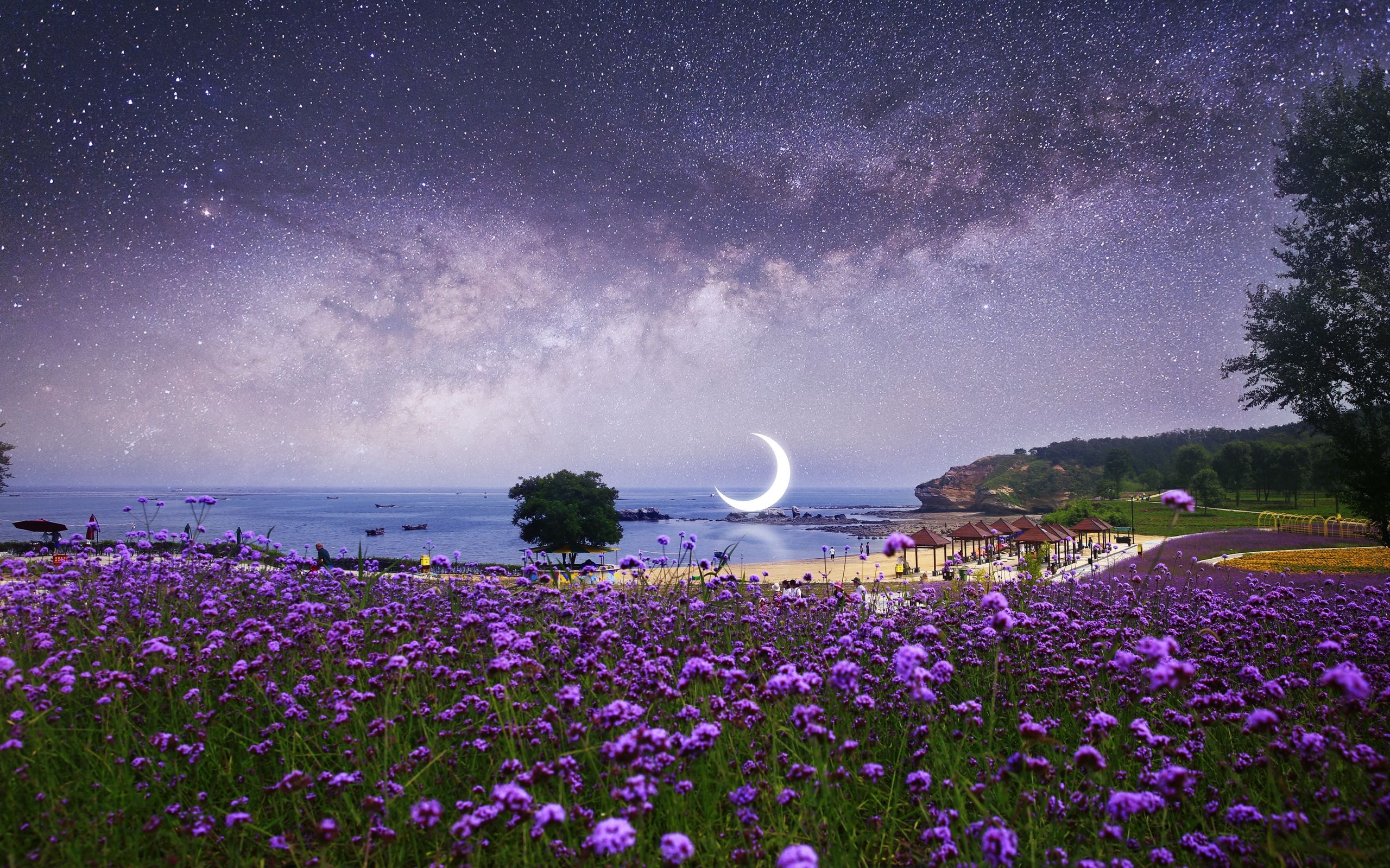 Download wallpaper 2560x1600 moon, starry sky, photohop, beach