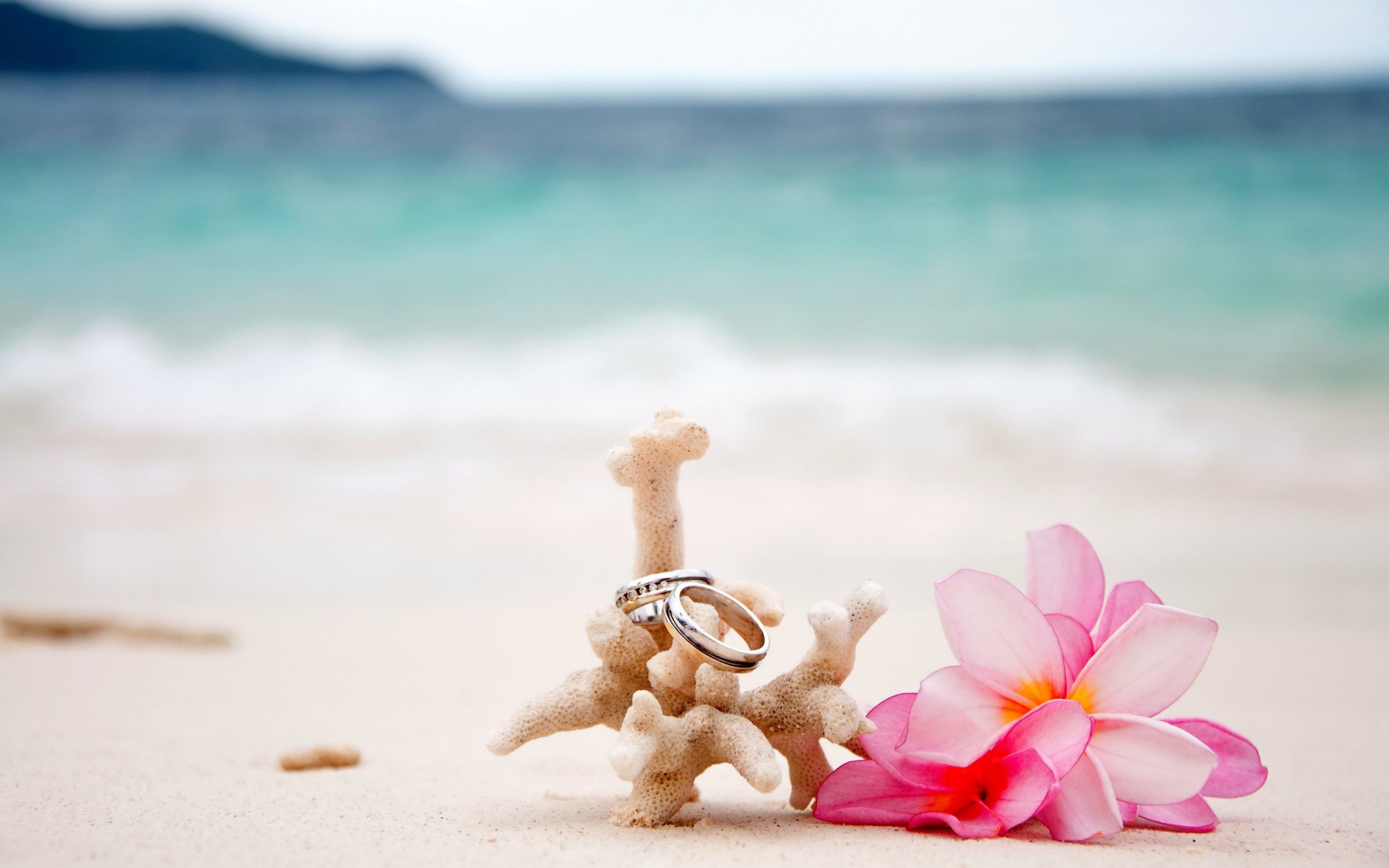Download wallpaper wedding rings, sand, beach, wedding on islands