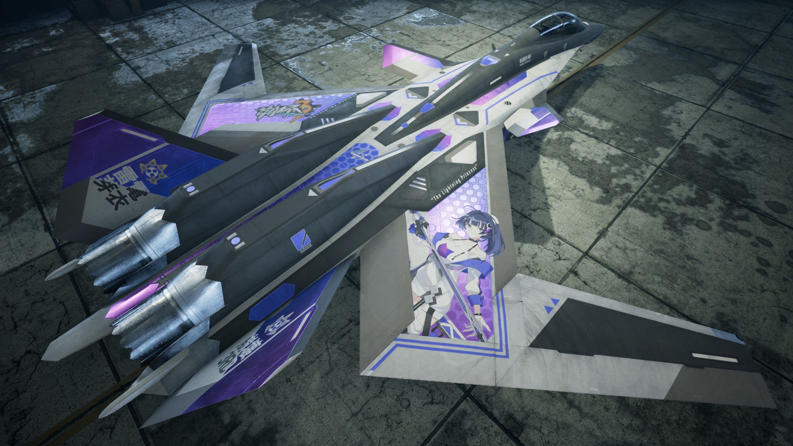 HouKai 3rd Striker Fulminata X- Mod Combat 7