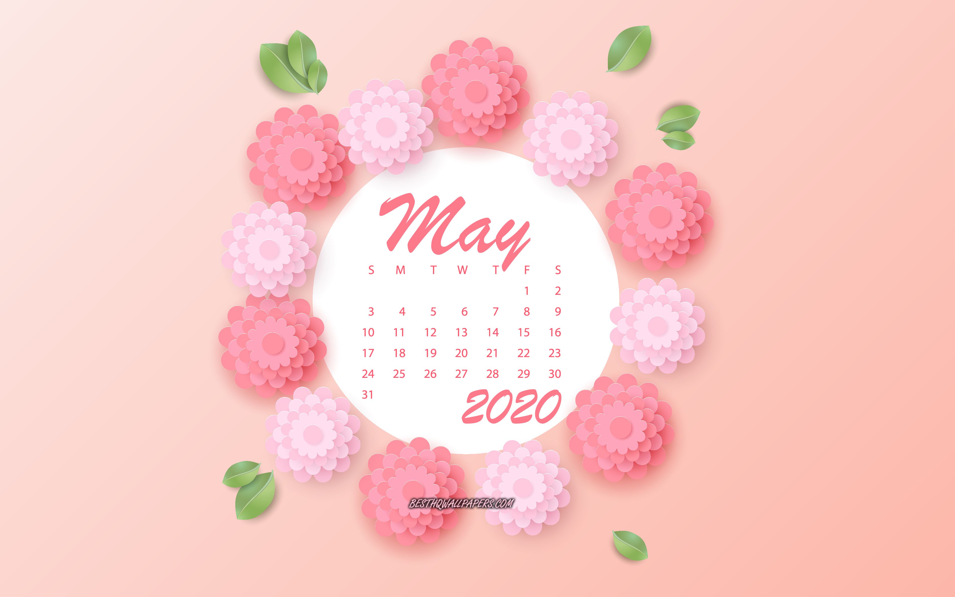 Download wallpaper 2020 May Calendar, pink spring flowers, red