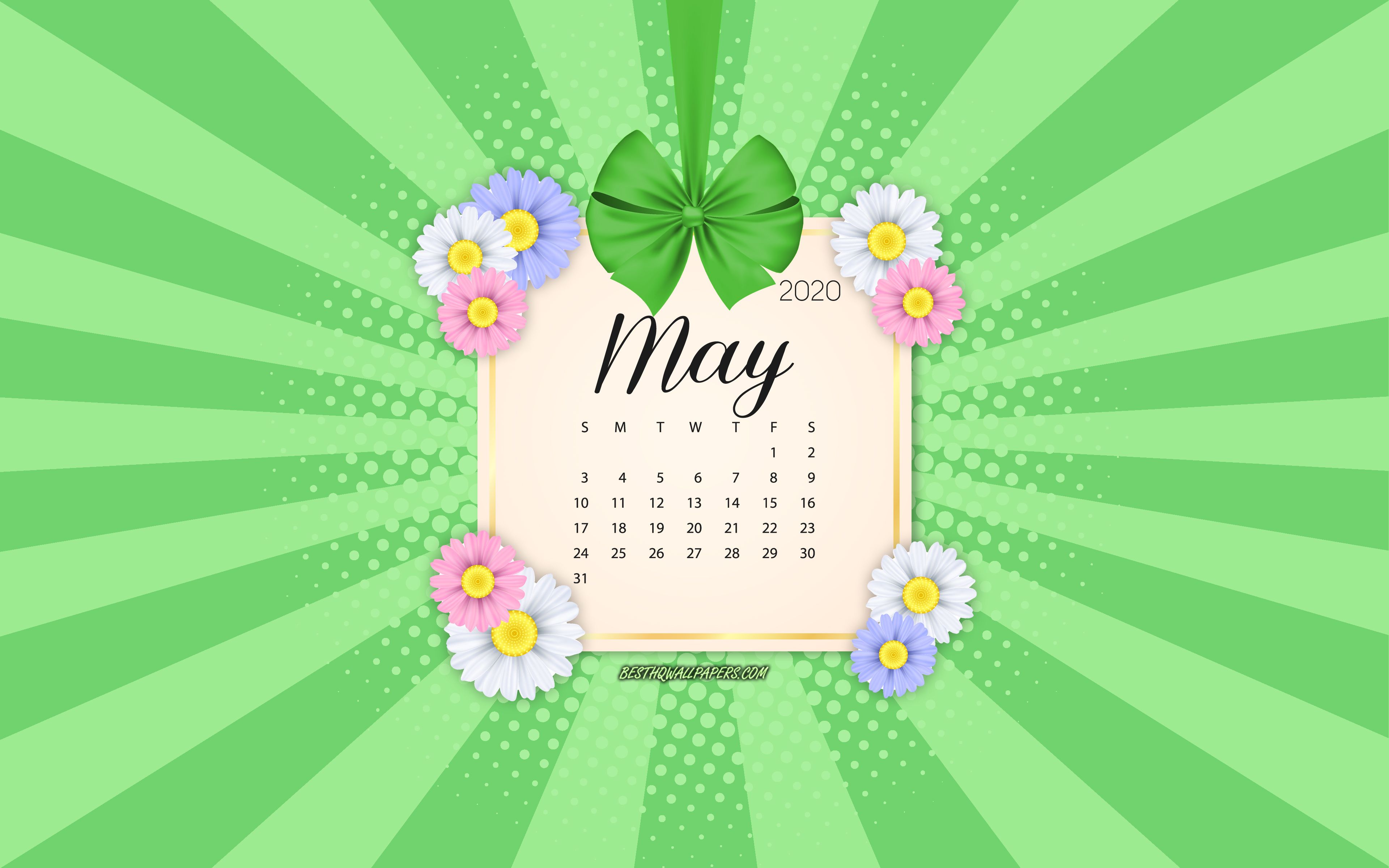 Download wallpaper 2020 May Calendar, green background, spring