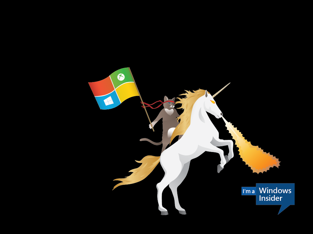 Celebrate the Windows 10 'ninjacat' meme with new Microsoft