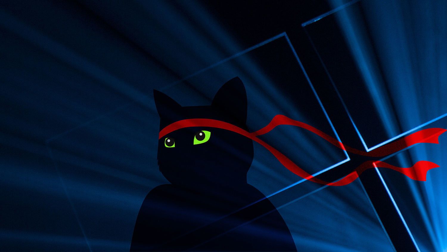 Microsoft Dops Ninja Cat Wallpaper for Anniversary Festivities