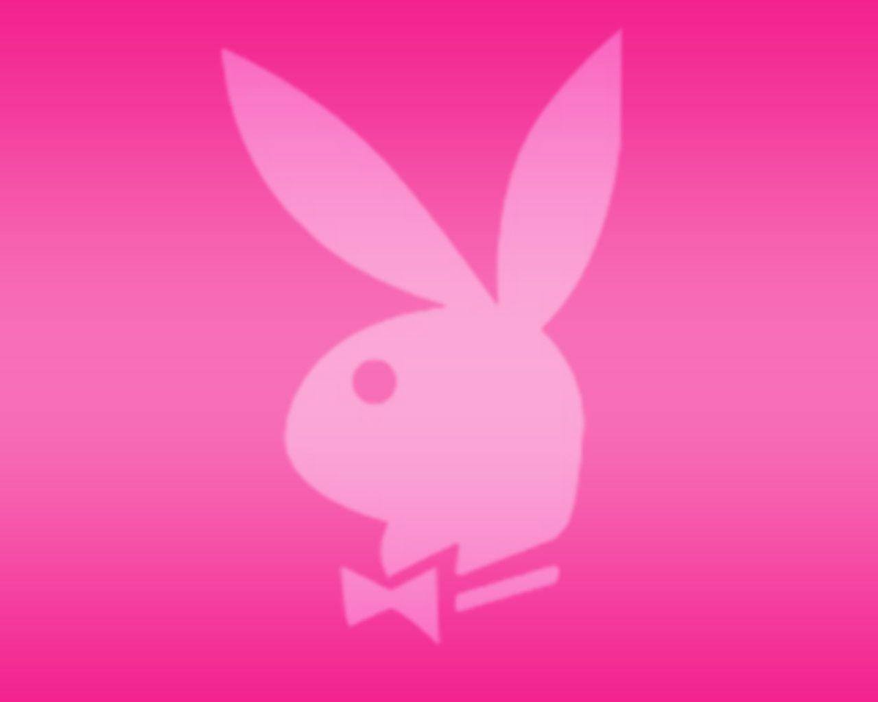 Free download Pink wallpaper Pink Color Wallpaper 10579400