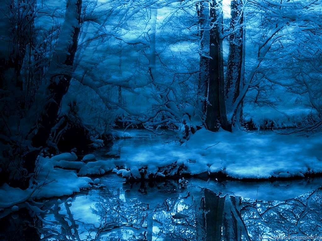 Winter Night Forest Blue Wallpaper & Background