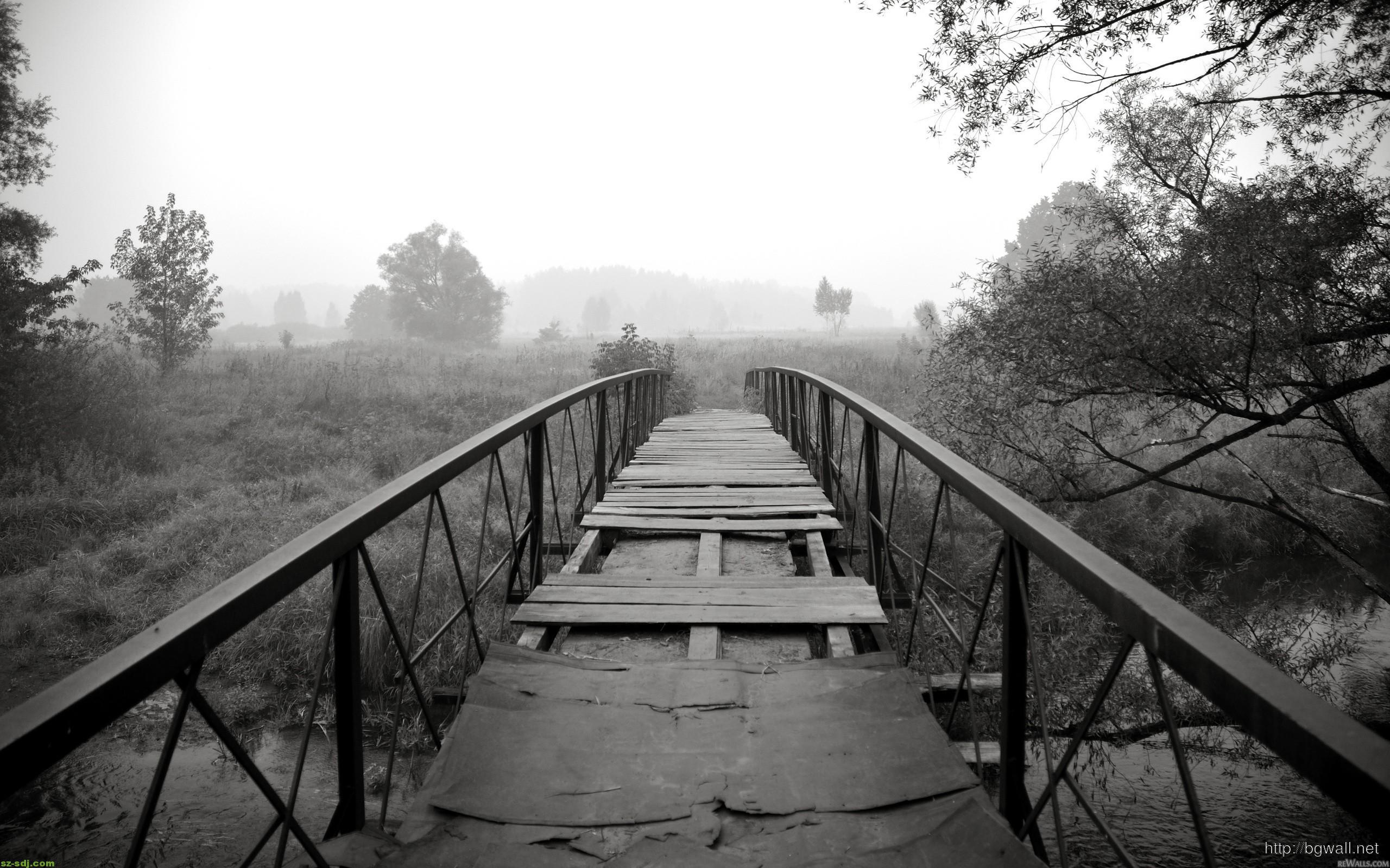 Black And White Bridge Nature Wallpaper Computer