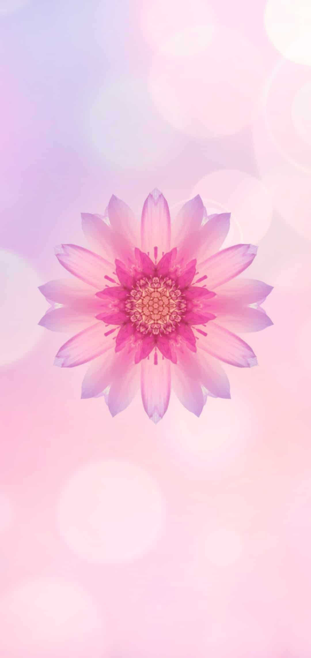 Download Honor 9N Wallpaper (Full HD+)