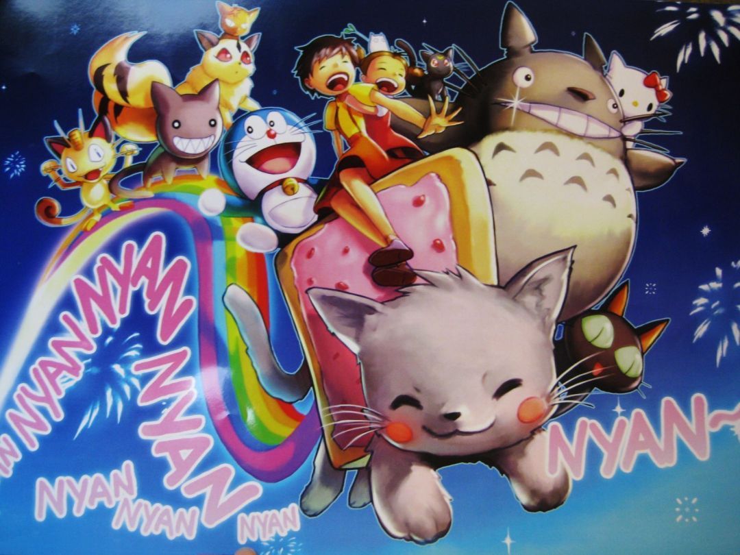 Kawaii Anime Cat HD Wallpaper Desktop Background