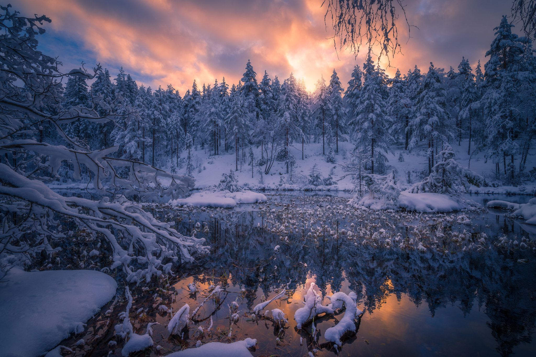 Winter Peace, Norway .com