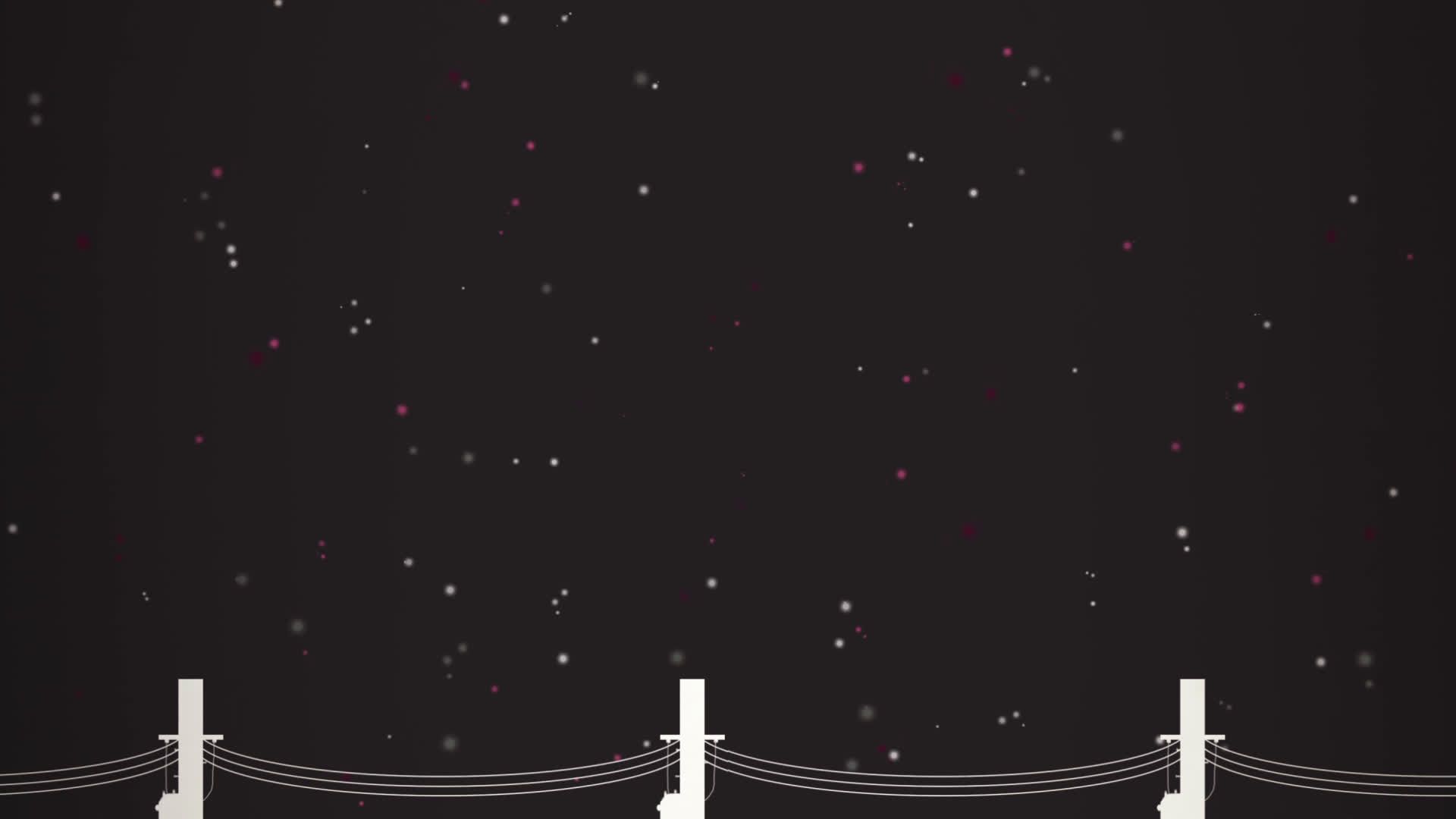 96猫】愛猫闊歩_哔哩哔哩(゜-゜)つロ干杯 -bilibili