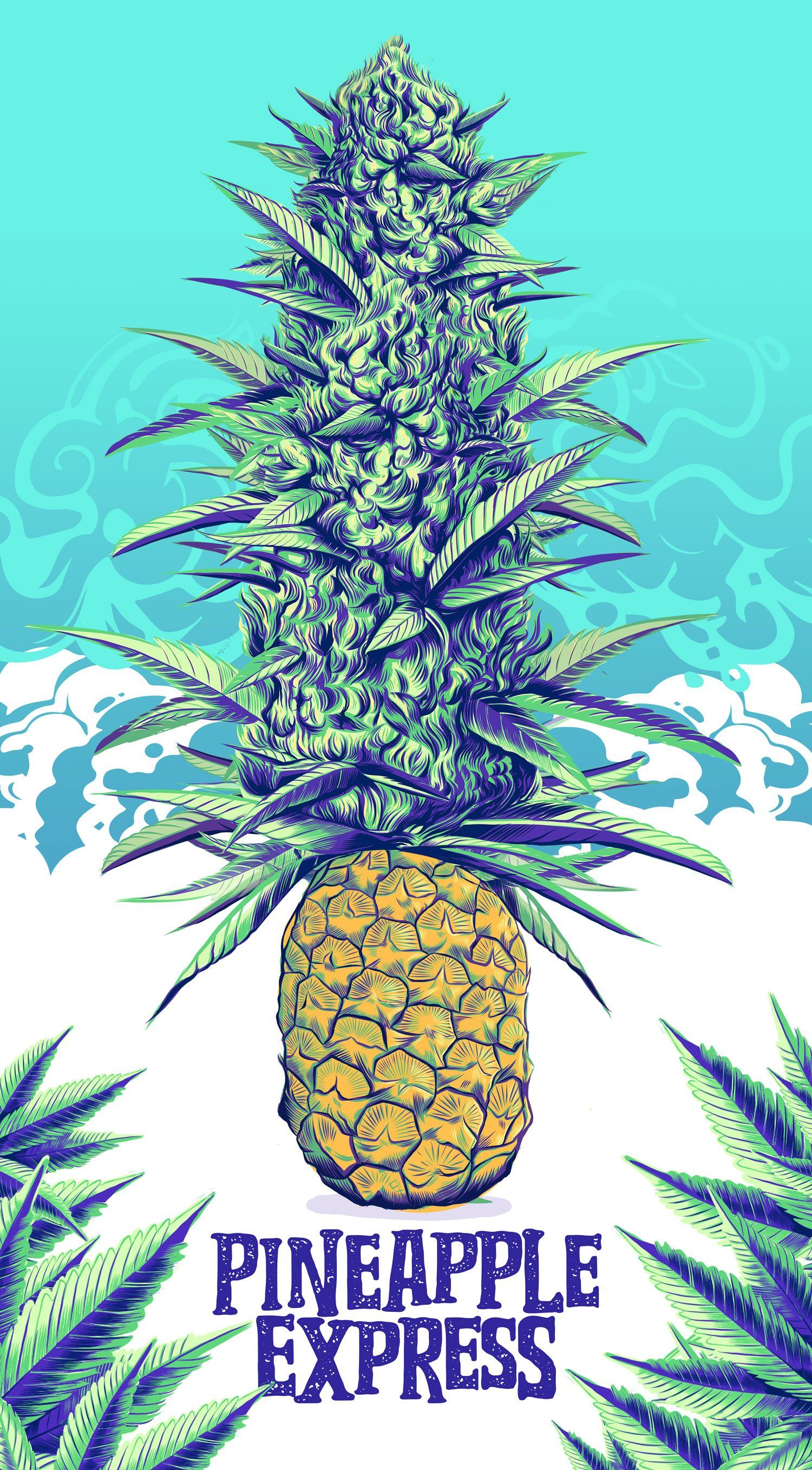 Pineapple Express (2008) [1500 x 2715]