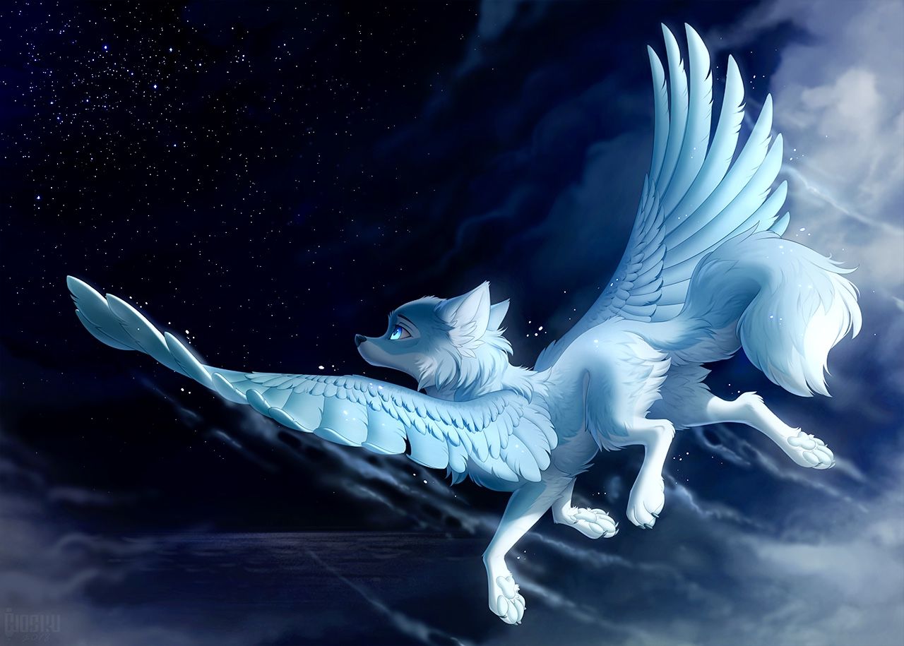 Anime Wolves With Wings Wallpapers Wallpaper Cave