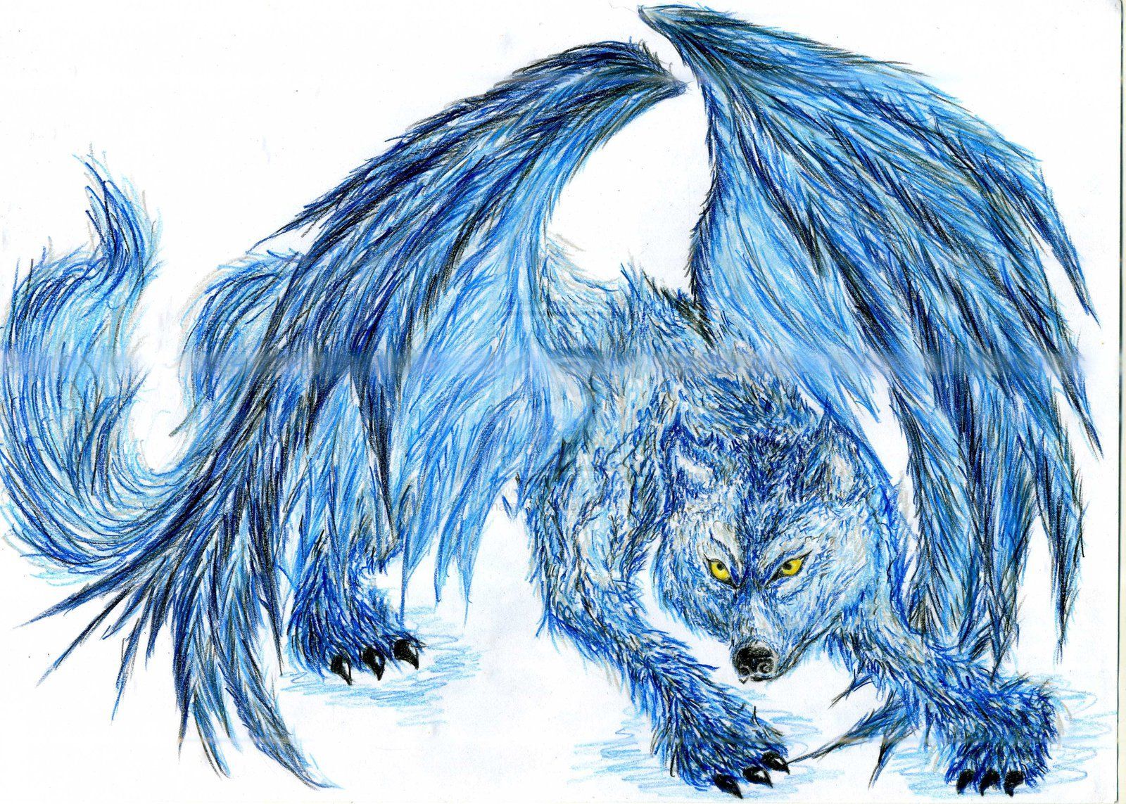 Blue White Wolf Animals Winged Wings Freetoedit - Illustratio PNG Image  With Transparent Background | TOPpng