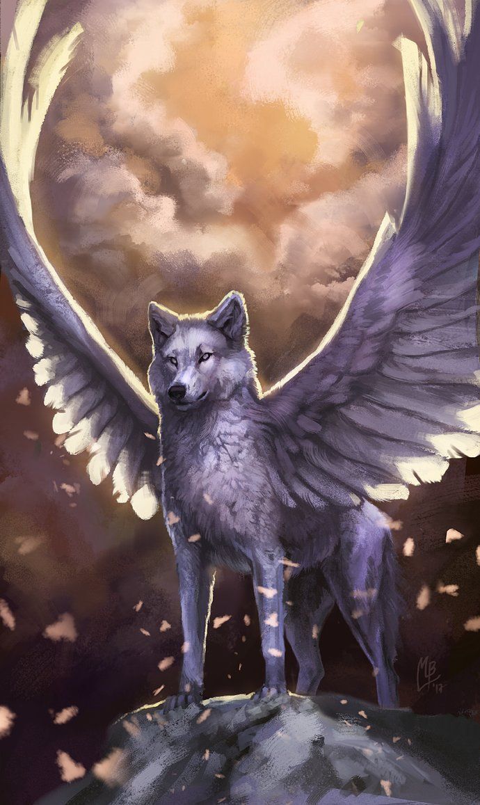 Anime Wolves With Wings Wallpapers - Wallpaper Cave