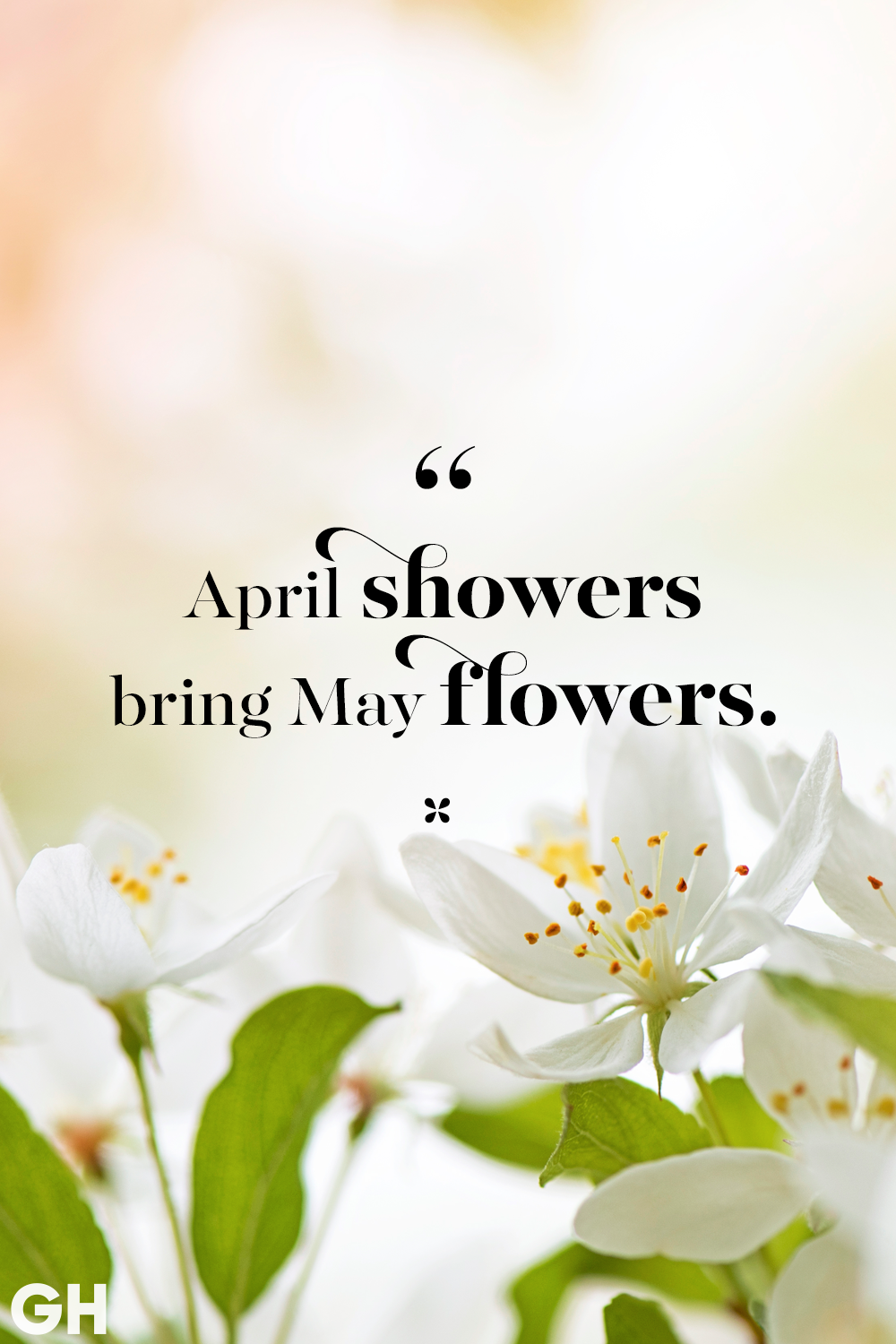 Inspirational Spring Quotes for Welcoming Spring