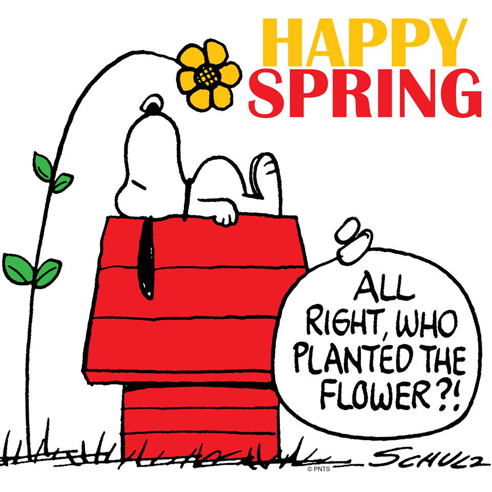 Snoopy / The Peanuts Gang / Springtime!. Snoopy quotes, Charlie brown