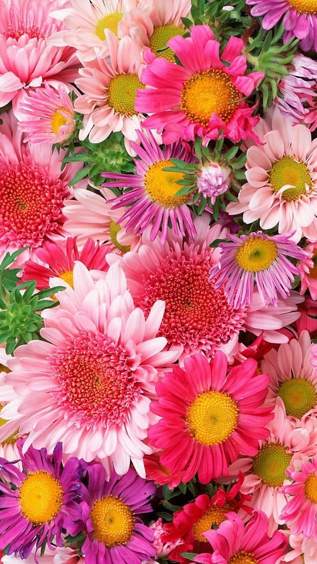Flowers Android Phone Wallpapers - Wallpaper Cave