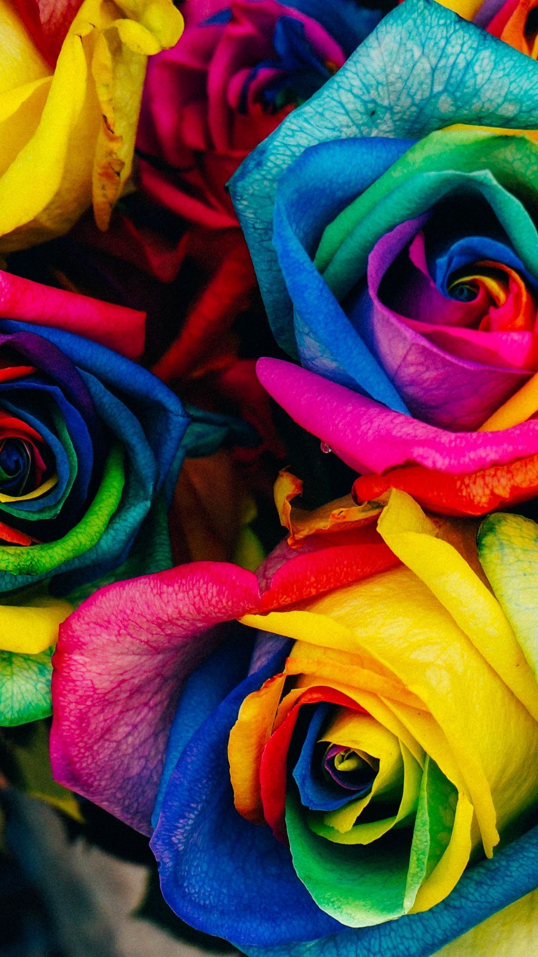 rainbow #test1 #colorful #roses #flowers #wallpaper #lockscreen