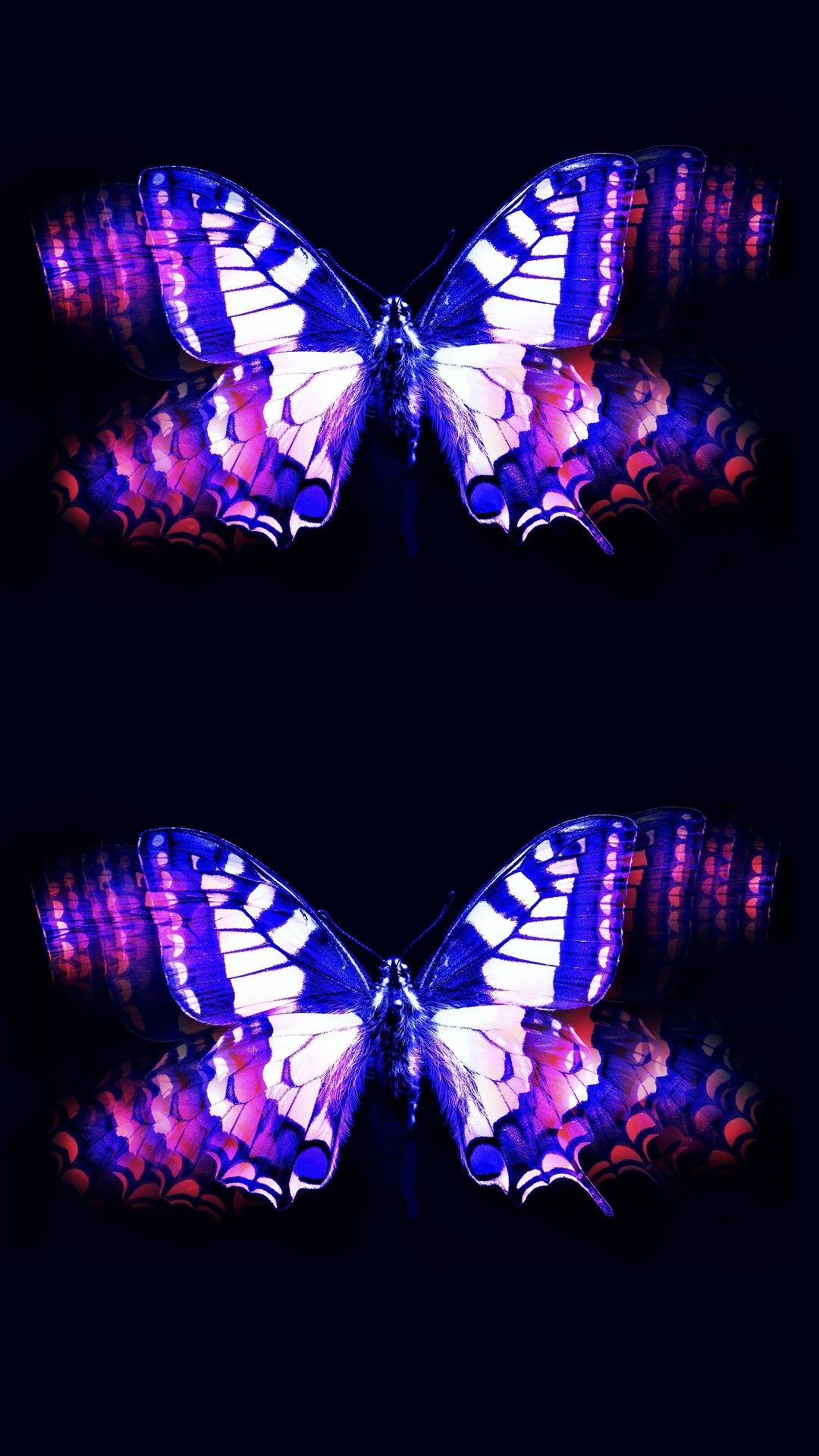 Wallpaper Phone Purple Butterfly Android Wallpaper