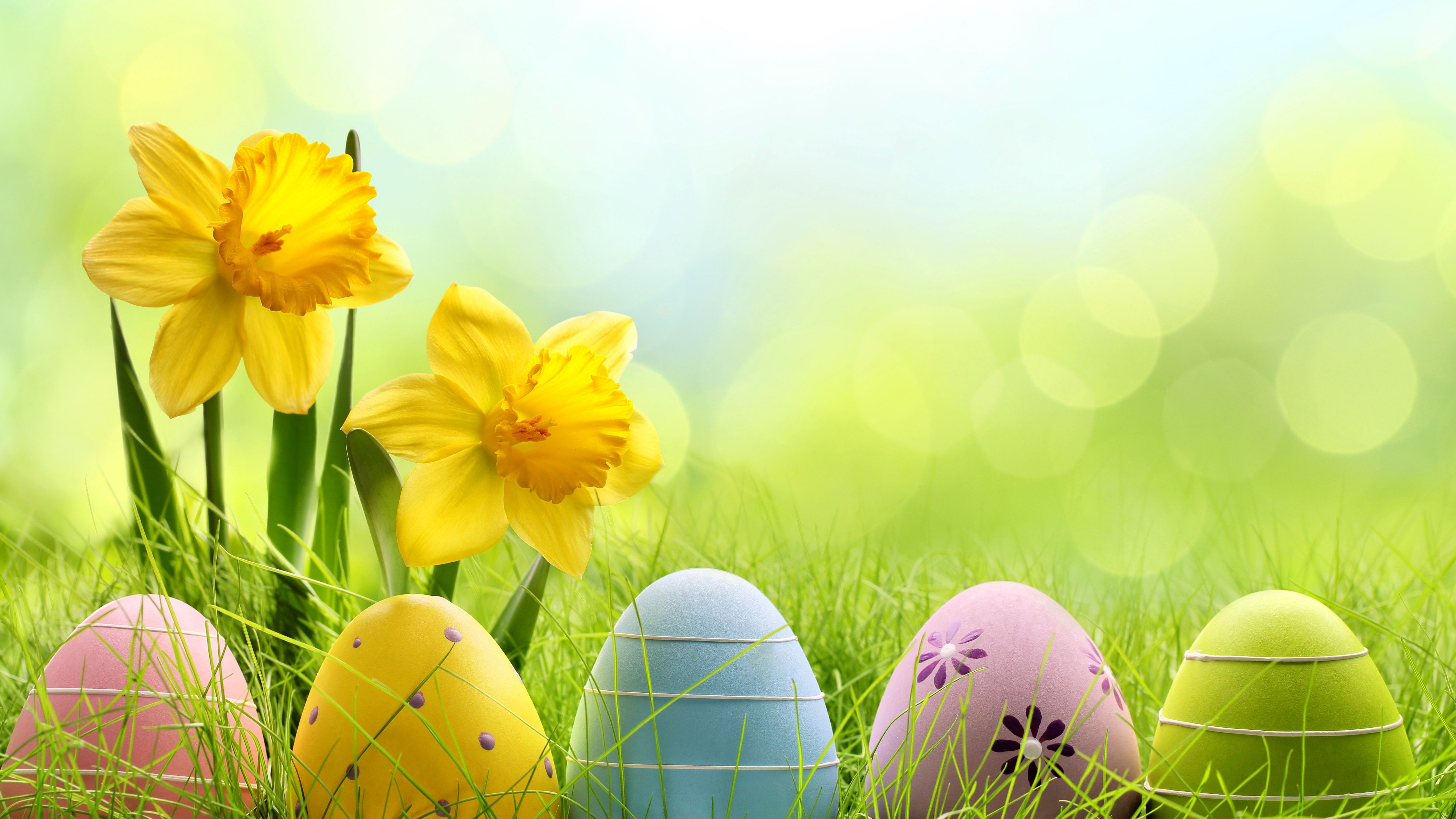 Wallpaper Easter, spring, flowers, eggs, basket, Holidays