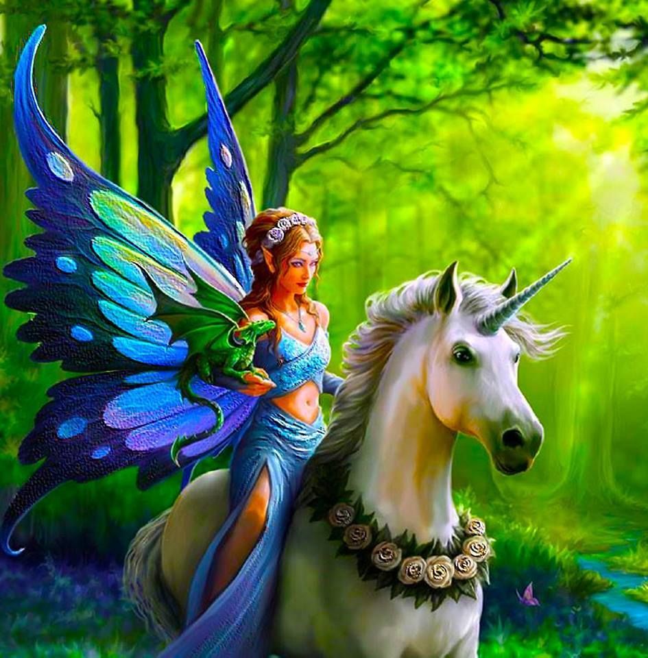 Fairy riding a unicorn with a dragon on her arm, I dare you to