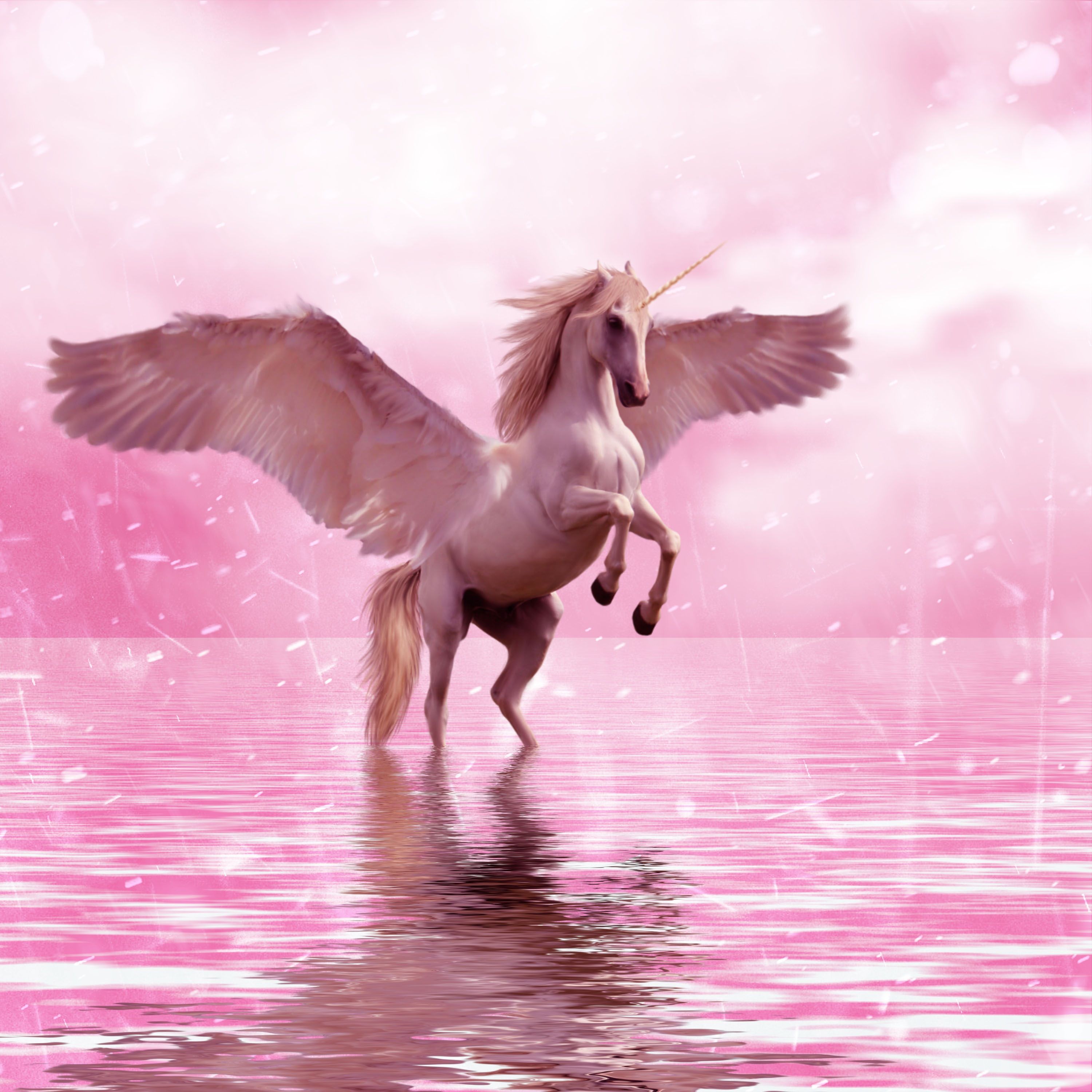 Download wallpaper 3000x3000 unicorn, wings, horse, fantasy HD background