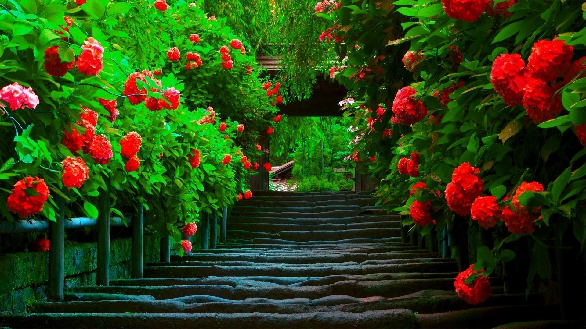Spring Desktop Wallpaper. Best HD Wallpaper