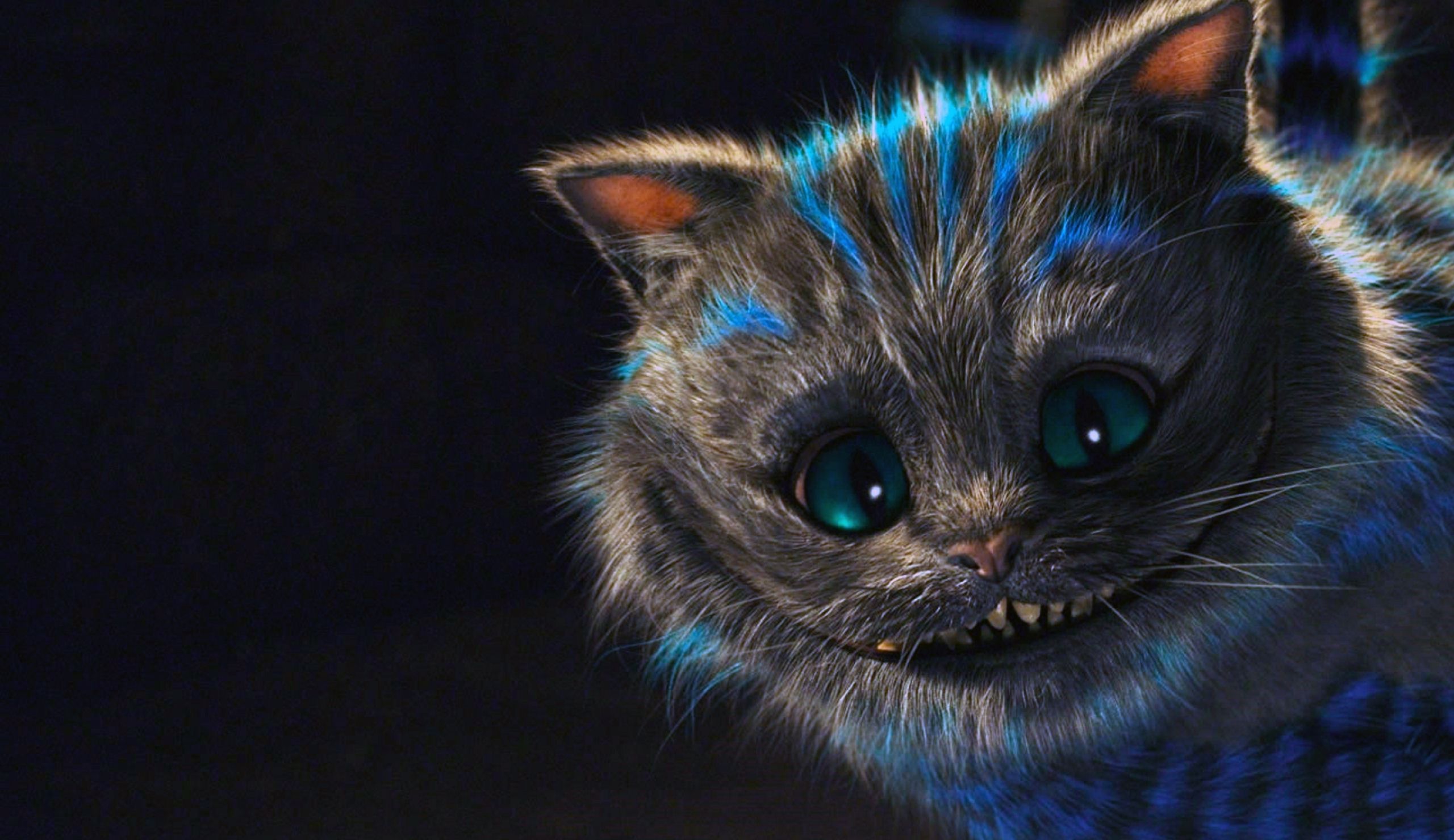 Cheshire Cat Wallpaper Tumblr Wallpaper For Laptop