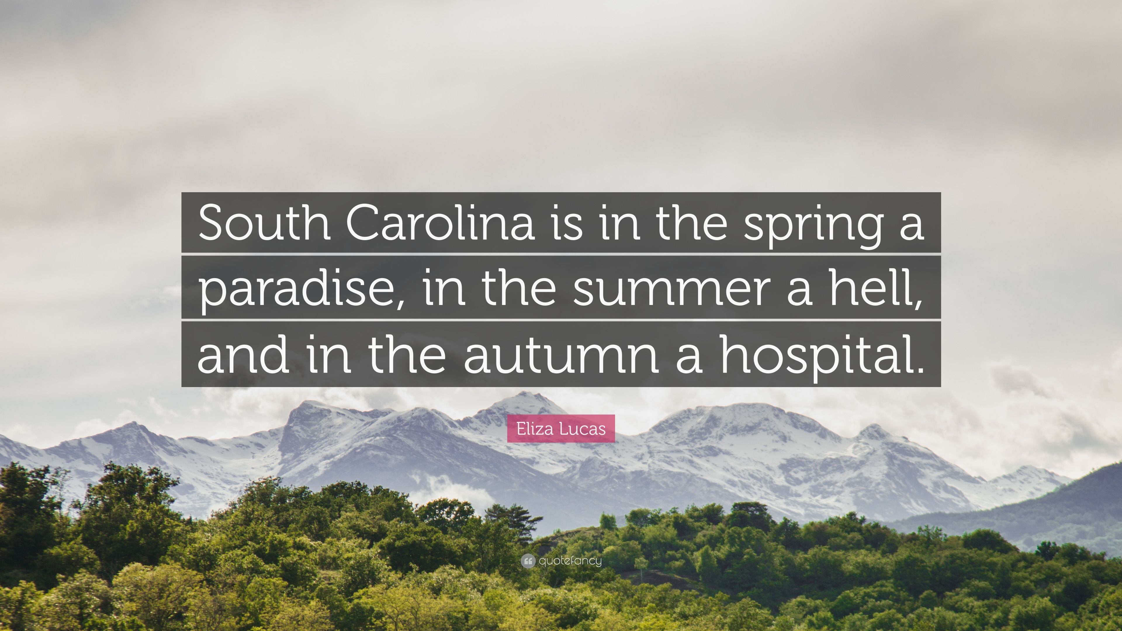 Eliza Lucas Quote: “South Carolina is in the spring a paradise