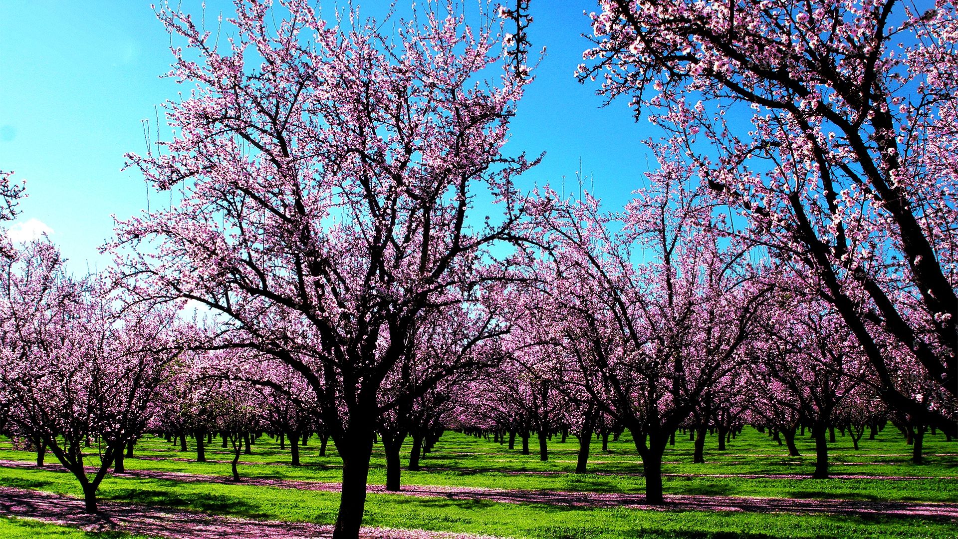 Free download wallpaper scents spring desktop mountains islands