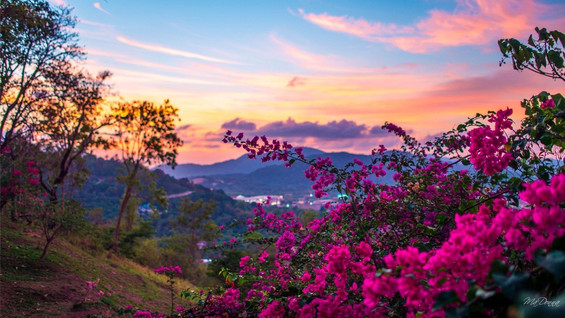 Spring Nature Wallpaper