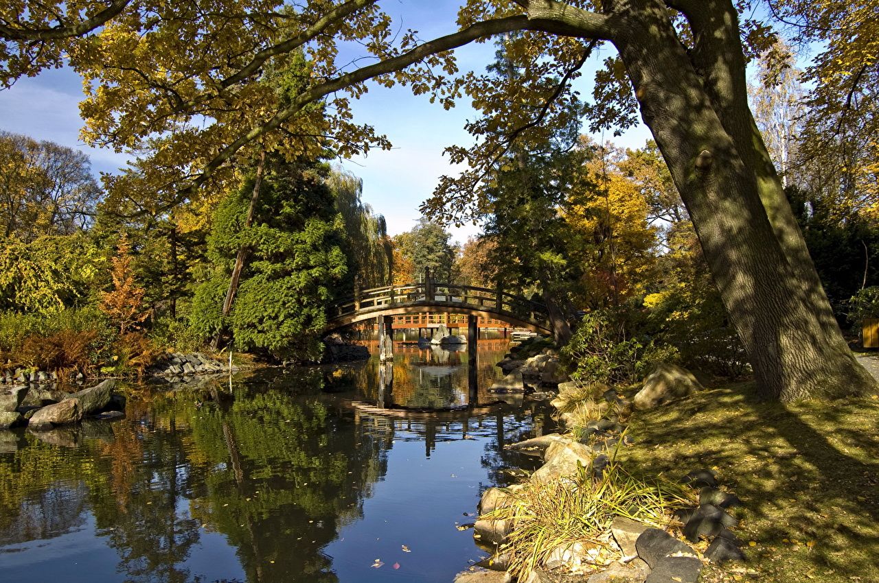 Desktop Wallpaper Wroclaw Poland Japanese Nature Pond Gardens