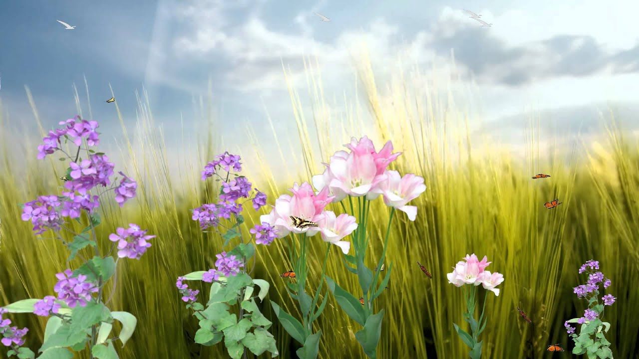 Butterfly Paradise Animated Wallpaper