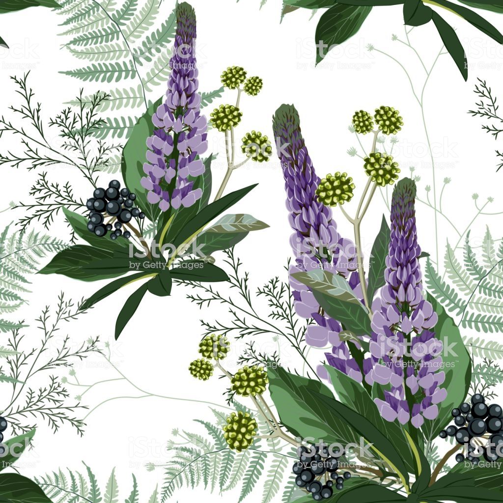 Summer Spring Seamless Pattern With Violet Lupines Paradise