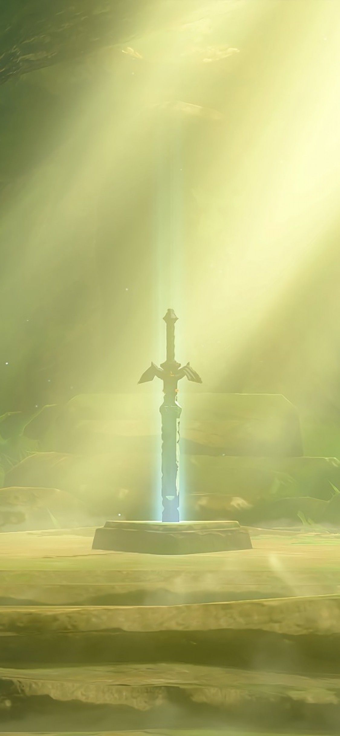 Download 1125x2436 The Legend Of Zelda: Breath Of The Wild, Sword