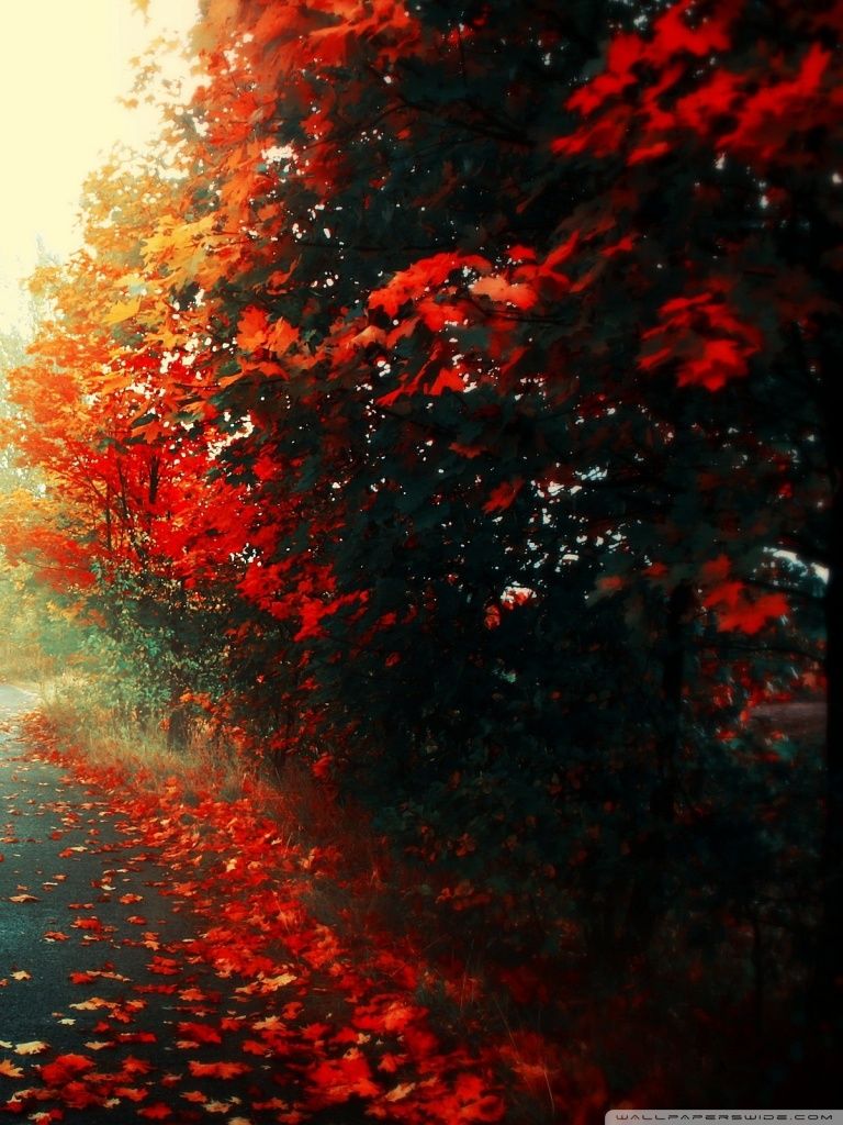 IPad 1 2 Mini Ross Painting IPhone Wallpaper